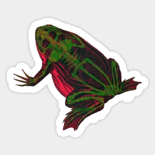 Skeleton Frog Interactive Magenta&Green Filter By Red&Blue Sticker